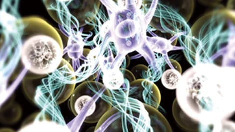 Magnified conceptual view of pale spheres, purple cells and fine blue fibres.