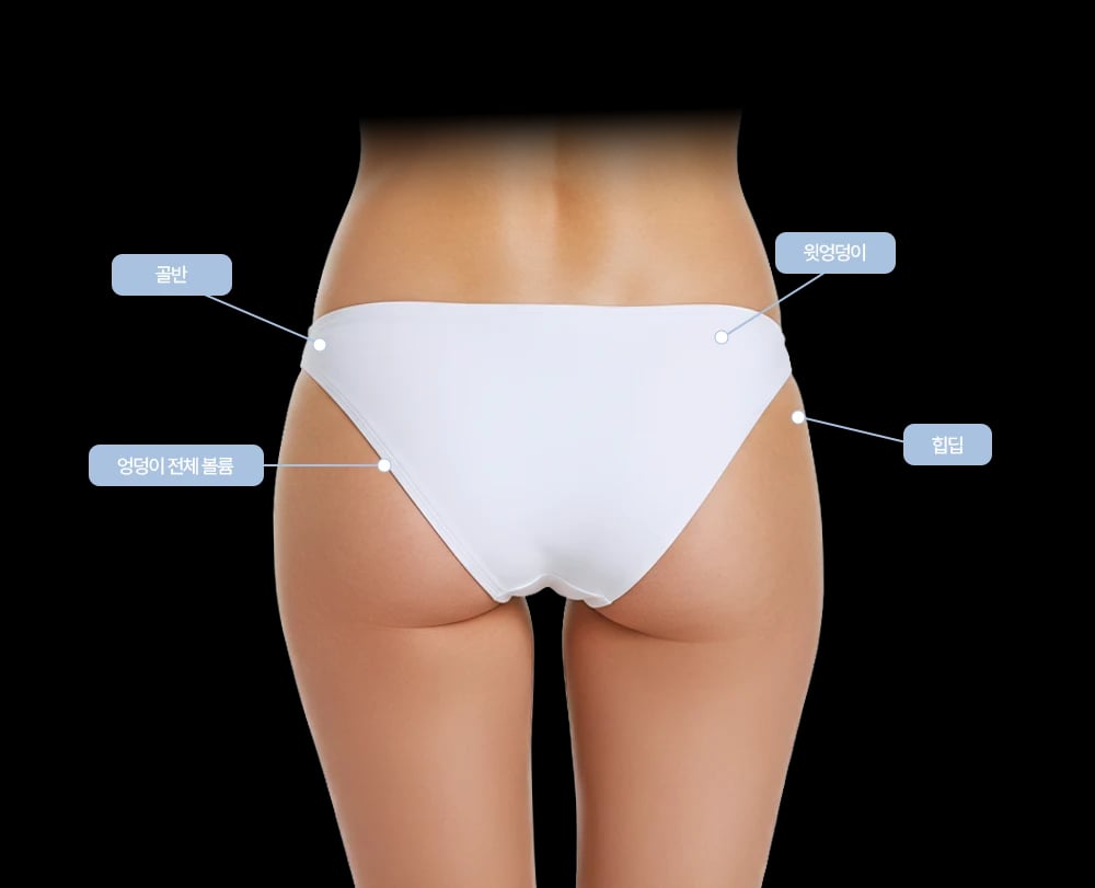 Rear view of a model in underwear with Korean callouts marking the upper buttock, lateral hip, overall buttock volume and outer pelvic contour.
