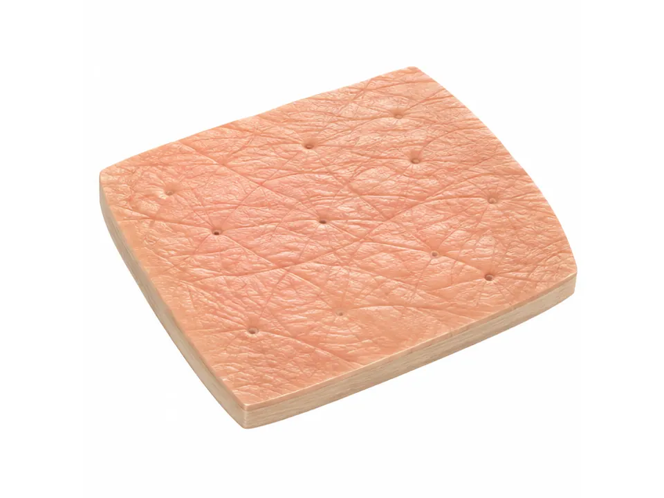 Illustrated skin surface with fine intersecting grooves and small openings.